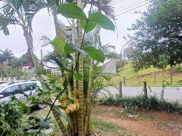 FRENTE CASA
