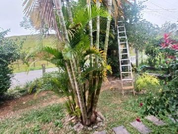 FRENTE CASA