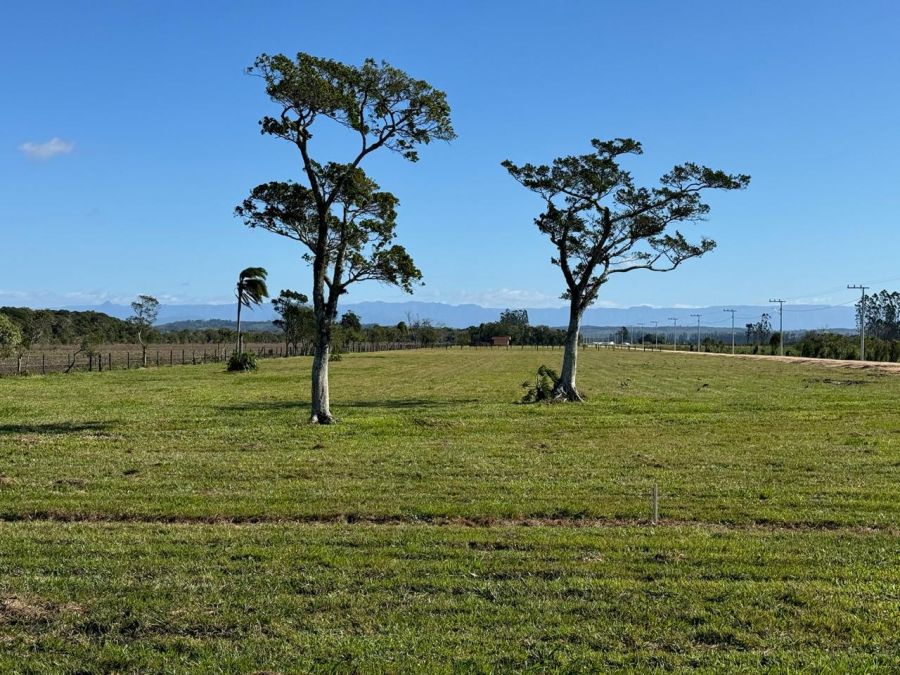 S�tio - Venda - Coqueiros - I�ara - SC