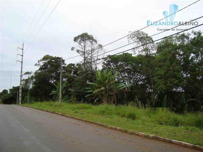 Terreno - Venda - São Defende - Criciúma - SC